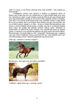 Реферат 'Jāšanas sporta attīstība līdz karjerai', 5.