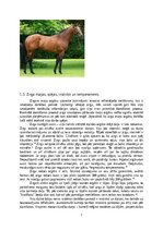 Реферат 'Jāšanas sporta attīstība līdz karjerai', 7.