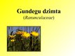 Презентация 'Gundegu dzimta', 1.