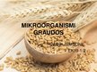 Презентация 'Mikroorganismi graudos', 1.