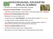 Презентация 'Mikroorganismi graudos', 7.