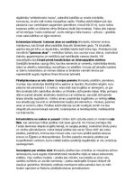 Конспект 'Minojiešu vēsture, kultūra, mitoloģija, sabiedrība un kultūras mantojums', 18.