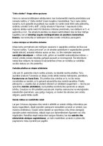 Конспект 'Eirāzijas stepju klejotāji: vēsture, kultūra, mitoloģija, sabiedrība un kultūras', 31.