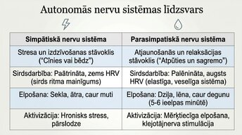Презентация 'Kā meditācija un relaksācijas tehnikas uzlabo smadzeņu darbību', 8.