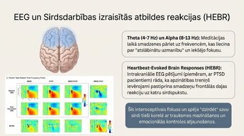Презентация 'Kā meditācija un relaksācijas tehnikas uzlabo smadzeņu darbību', 10.
