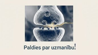 Презентация 'Kā meditācija un relaksācijas tehnikas uzlabo smadzeņu darbību', 16.