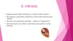 Презентация 'Prenetālais periods', 9.