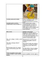 Отчёт по практике 'Pirmsskolas izglītības agrīnās prakses atskaite', 18.