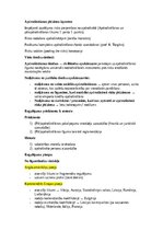 Конспект 'Apdrošināšanas tiesības', 2.
