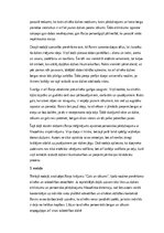 Конспект '“Rainis. ‘Gals un sākums’ – dzīves cikliskuma un garīgās atdzimšanas analīze”', 2.