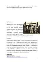 Реферат 'Turcijas ekonomiskā attīstība un īpatnības (1920.-1940.)', 11.