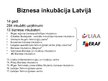 Презентация 'Pakalpojumu sniedzēja un klienta sadarbības loma Latvijas biznesa inkubatoru vid', 3.