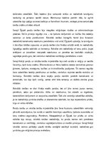 Эссе 'Paražu tiesības un pirmās rakstītās tiesības Seno Austrumu zemē', 3.