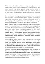 Эссе 'Paražu tiesības un pirmās rakstītās tiesības Seno Austrumu zemē', 4.