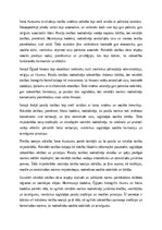 Эссе 'Paražu tiesības un pirmās rakstītās tiesības Seno Austrumu zemē', 6.