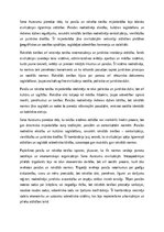 Эссе 'Paražu tiesības un pirmās rakstītās tiesības Seno Austrumu zemē', 7.