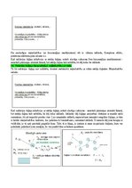 Конспект 'Eksāmena atbildes Radiācijas terapijas tehnoloģijas', 11.