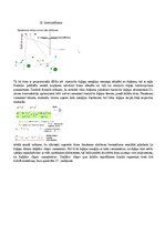 Конспект 'Eksāmena atbildes Radiācijas terapijas tehnoloģijas', 14.
