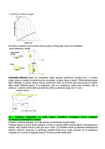 Конспект 'Eksāmena atbildes Radiācijas terapijas tehnoloģijas', 22.