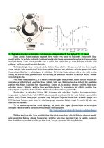 Конспект 'Eksāmena atbildes Radiācijas terapijas tehnoloģijas', 46.