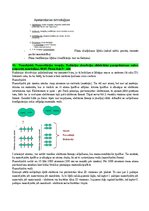Конспект 'Eksāmena atbildes Radiācijas terapijas tehnoloģijas', 48.