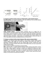 Конспект 'Eksāmena atbildes Radiācijas terapijas tehnoloģijas', 87.