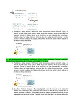 Конспект 'Radiācijas terapijas tehnoloģijas', 18.