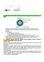 Конспект 'Radiācijas terapijas tehnoloģijas', 50.