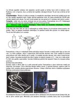 Конспект 'Radiācijas terapijas tehnoloģijas', 51.