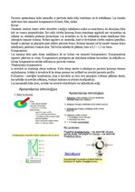 Конспект 'Radiācijas terapijas tehnoloģijas', 56.