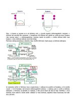 Конспект 'Radiācijas terapijas tehnoloģijas', 80.