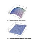 Дипломная 'Mezglu metode 2D Šredingera tipa vienādojuma skaitliskajiem aprēķiniem', 55.