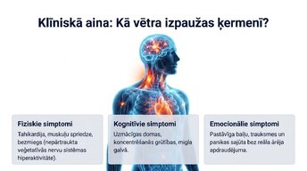 Презентация 'Uzbudinājuma un kavēšanas līdzsvars', 10.