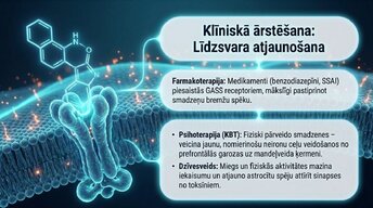 Презентация 'Uzbudinājuma un kavēšanas līdzsvars', 12.