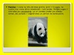 Презентация 'Pandas', 3.