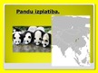 Презентация 'Pandas', 4.