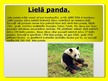 Презентация 'Pandas', 5.