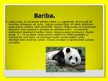 Презентация 'Pandas', 8.