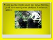 Презентация 'Pandas', 9.
