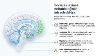 Презентация 'Sociālā mijiedarbība, smadzeņu plastiskums un garīgā veselība', 3.