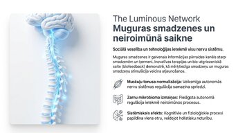 Презентация 'Sociālā mijiedarbība, smadzeņu plastiskums un garīgā veselība', 4.