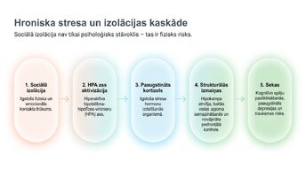 Презентация 'Sociālā mijiedarbība, smadzeņu plastiskums un garīgā veselība', 5.