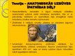 Презентация 'Neandertālietis', 14.