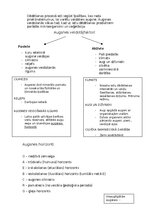 Конспект 'Pedosfēra (augsne)', 2.