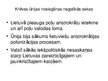 Презентация 'Lietuvas valsts izveidošanās un Lietuvas lielkunigaitija', 15.