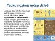 Презентация 'Tauki', 7.