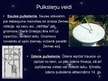 Презентация 'Pulksteņi un astronomiskais pulkstenis', 5.