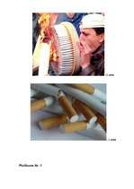 Реферат 'Smēķēšanas kaitīgums', 23.