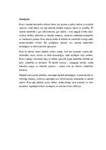 Эссе 'Kino: māksla, sabiedrība un stāstu spēks', 5.