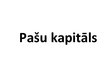 Презентация 'Pašu kapitāls', 1.